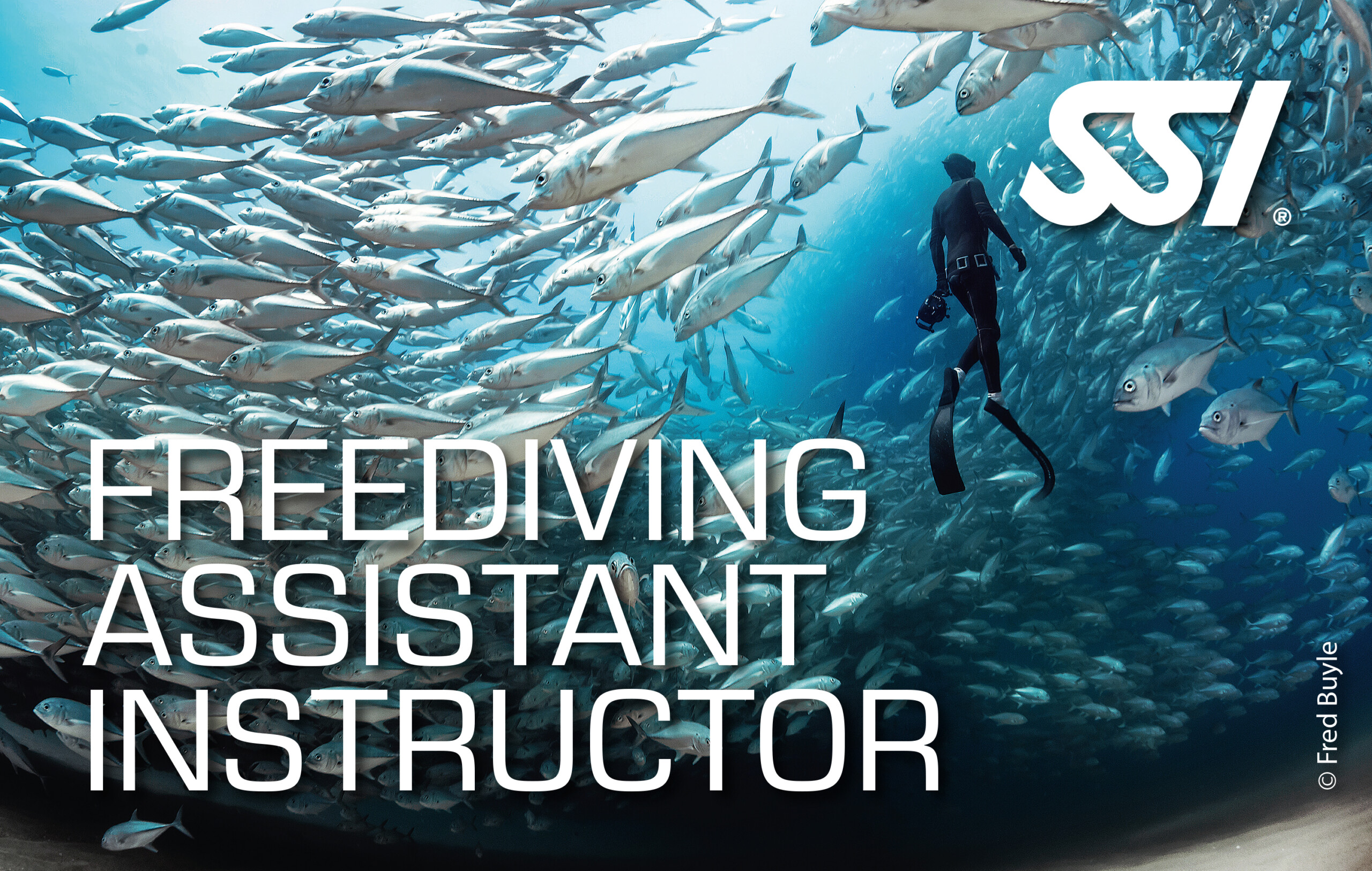 Freediving Assistant Instructor