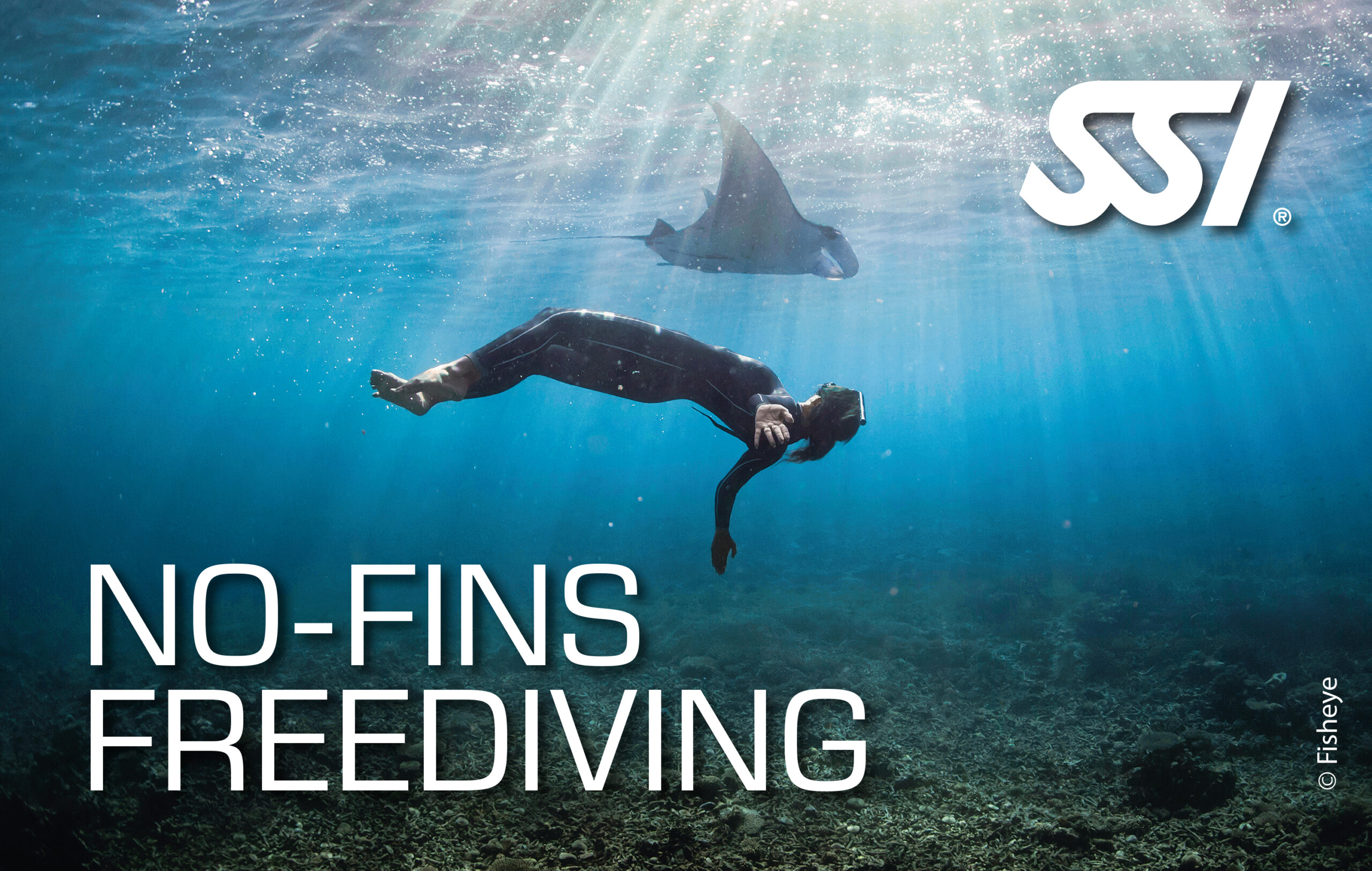 No-Fins Freediving